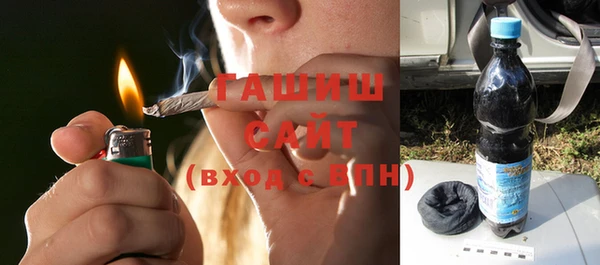 гидра Абаза