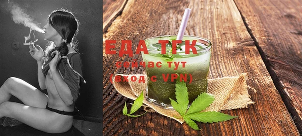гидра Абаза