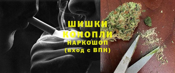 гидра Абаза