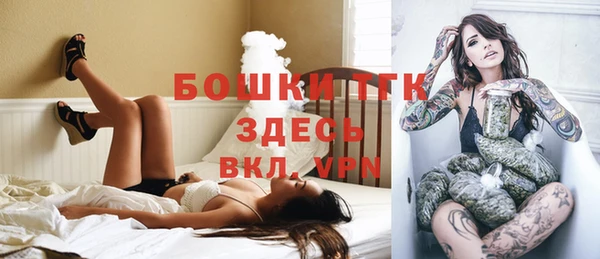 гидра Абаза