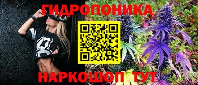 ALPHA PVP Гусев