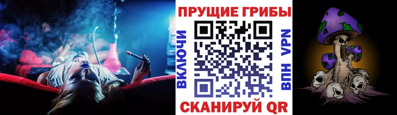 blacksprut онион  Кисловодск  Галлюциногенные грибы ЛСД 