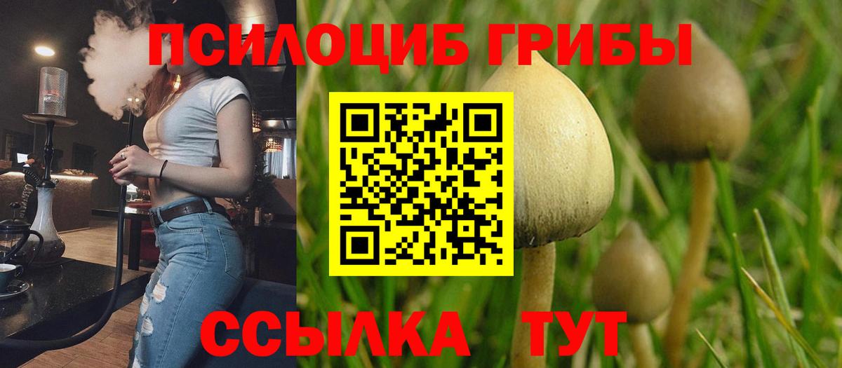Кисловодск  купить наркоту  Вход с VPN  Псилоцибиновые грибы GOLDEN TEACHER 