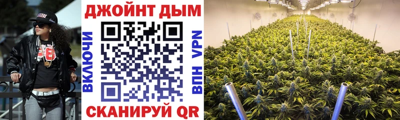Бошки Шишки SATIVA & INDICA Кисловодск